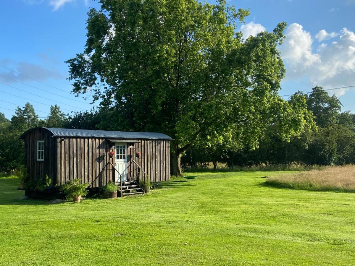 Mountbatten Shepherds Hut & Buckhurst Shepherds Hut Ashford  Exterior photo
