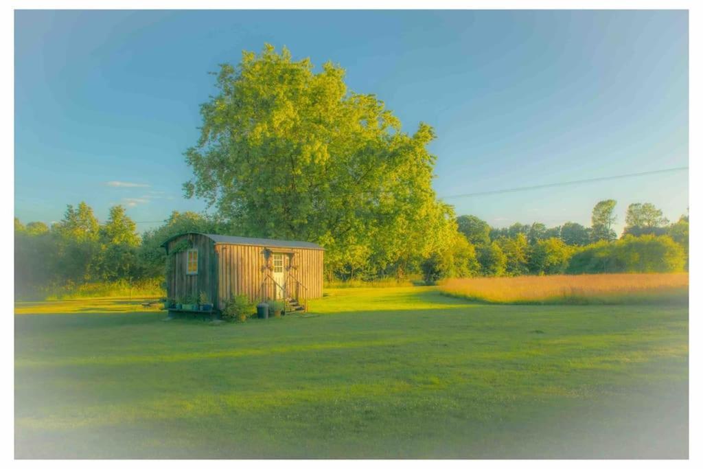 Mountbatten Shepherds Hut & Buckhurst Shepherds Hut Ashford  Exterior photo